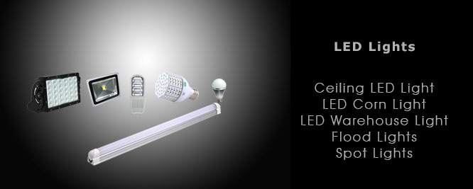 LED Lights